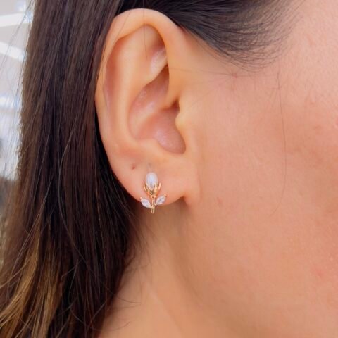 Daily Wear Essential Studs