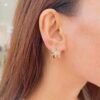 Elephant Heritage Earrings