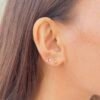 Everyday Screw Back Earrings